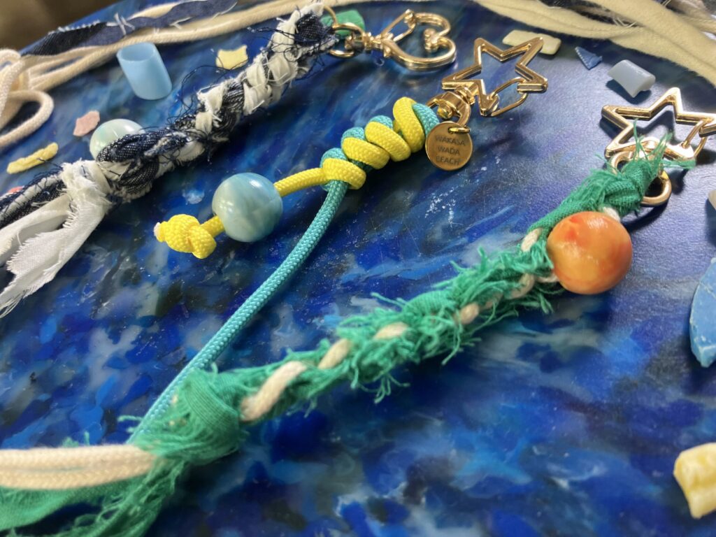 ブルーフラッグアカデミー＋